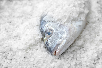 Fresh dorado fish in salt, closeup