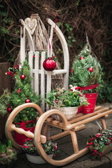 Christmas decorations on the street with old wooden sled. Christmas festive background - 241570021
