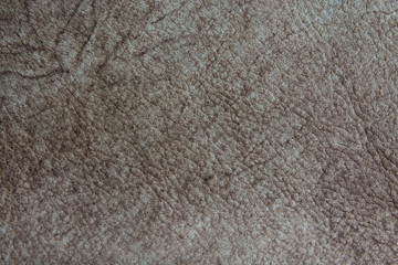 genuine leather after treatment