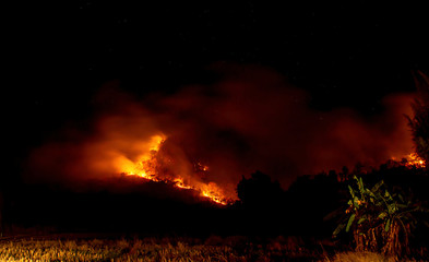 The fire was burning trees on the mountain at night with all stars in the sky.