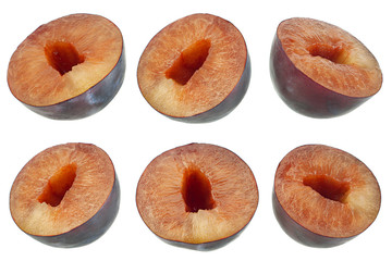 Blue plum fruit  on white