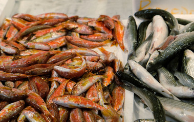 fresh fish on ice in fresh market