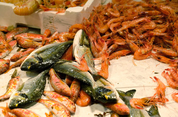 Gilthead, shrimp, shellfish - Seafood on ice at the fish market - fresh sea food