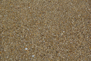 Textured wet sand background
