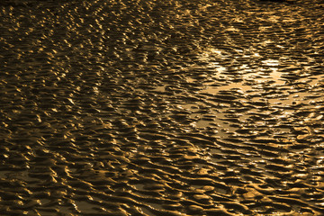 sand textured on the beach