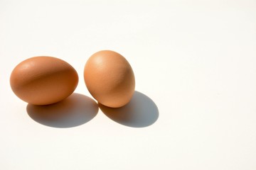 chicken egg with shadow on a pale white background