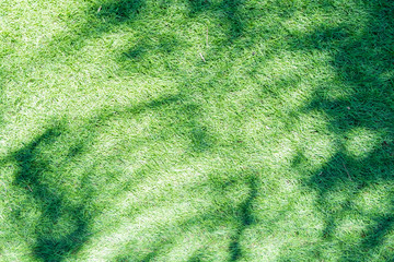 abstract green grass background