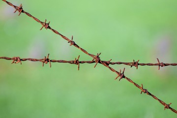 prison wall background 