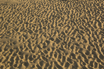 sand textured on the beach