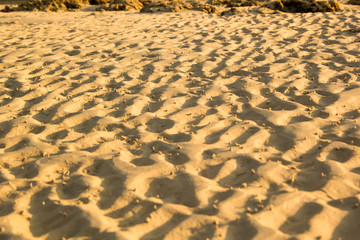 sand textured on the beach