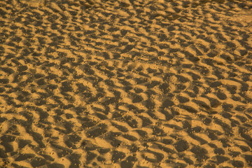 sand textured on the beach