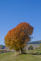 Herbst im Bondonegebirge