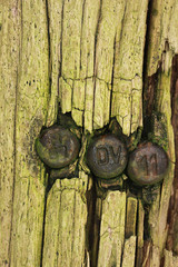 Holzbalken mit Grünspan und Nägel