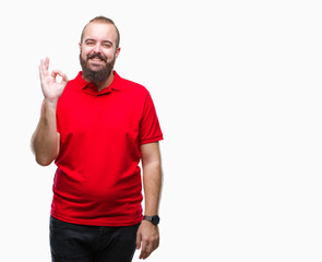 Fototapeta premium Young caucasian hipster man wearing red shirt over isolated background smiling positive doing ok sign with hand and fingers. Successful expression.