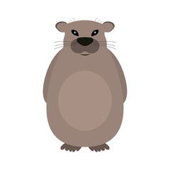 Groundhog on a white background.