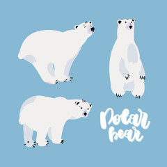 Cute polar bear set.