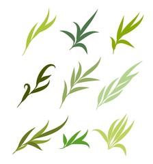 Vector green leaves, branches set