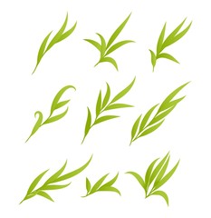 Fototapeta premium Vector green leaves, branches set