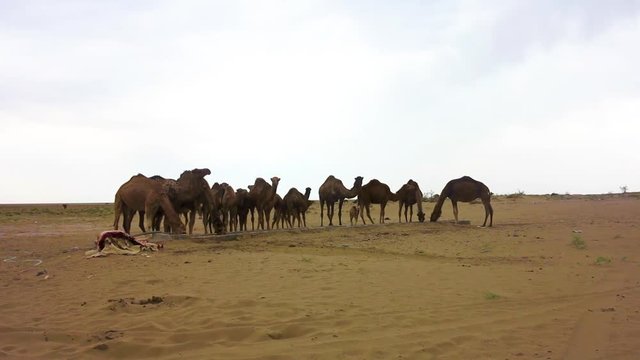 Kashan Maranjab Salt Desert 04