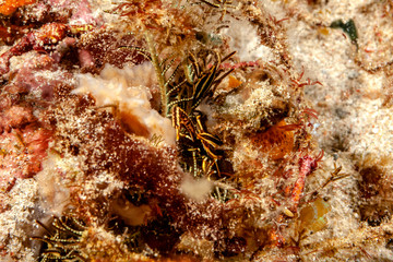 Endeckt © deraugenzeuge