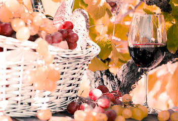 glass of red wine grapes and picnic basket on table in field