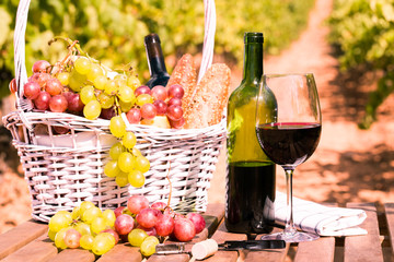 glass of red wine ripe grapes and picnic basket  in vineyard