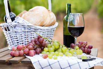 red wine ripe grapes and picnic basket on table in vineyard