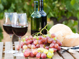 glass of red wine ripe grapes and bread in vineyard