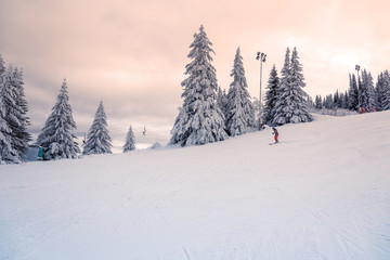 Skier in a sunset setting.