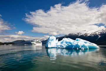 Iceberg with Cruise Ship in Background