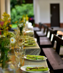 Party table in the nature with decoration and wooden bench