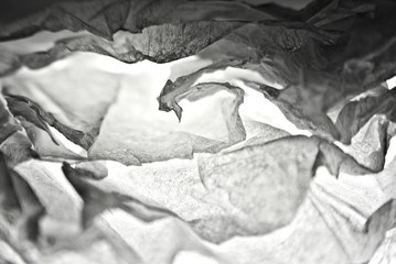 Abstract white gray surreal background photographed from tissue paper.  High contrast.
