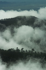 Srilankan fog