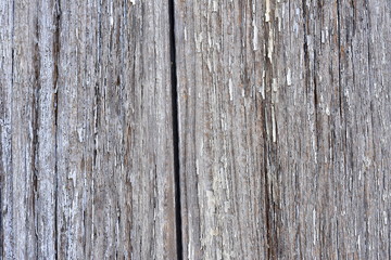 Nature wooden background. Wood Texture.