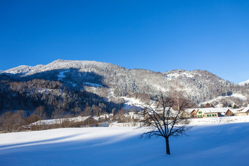 Swiss Winter cold Winter blue mountain