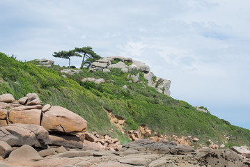 Granit de Trébeurden Côtes d'Armor Bretagne France