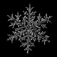 Snowflake on black background. Illustration based on macro photo of real snow crystal: elegant stellar dendrite with hexagonal symmetry, complex ornate shape and intricate details.