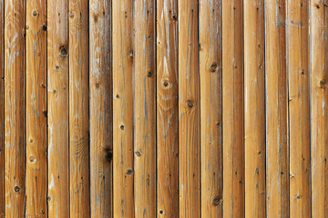 High wooden fence from young pine trees