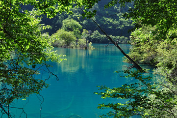 Lago del parco nazionale di Jiuzhaigou, Cina