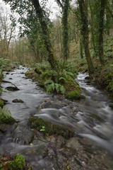 Obraz premium St Nectan's Glen between Boscastle and Tintagel Cornwall