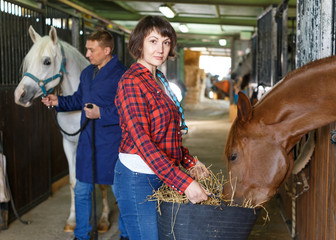 Worker spreading armfuls of hay at  stable