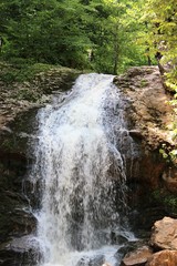 Beautiful waterfall in the mountain forest in summer