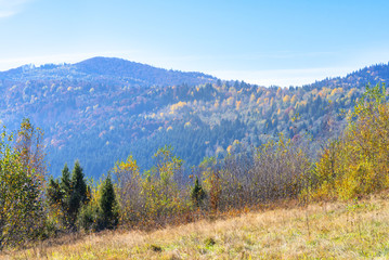Landscapes of the Carpathian Mountains, Ukraine. Autumn time