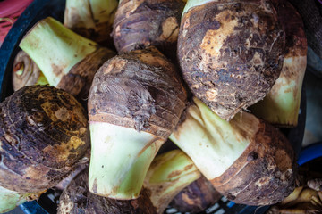 Taro