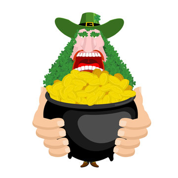 Leprechaun and Pot of gold. beard in Shamrock face. Clover mustache. Ireland holiday. St. Patrick's Day. Traditional Irish holiday. Green leaves trefoil