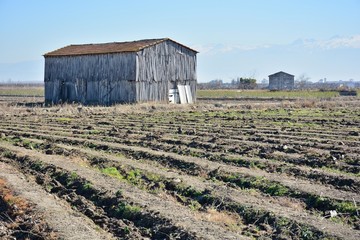 Secadero de tabaco, en la vega de Granada