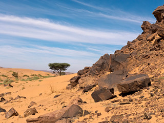 Wanderung durch die Wüste Sahara im Südmarokko in der Nähe von Tafraout
