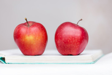 Red juicy apples lie on the expanded book_