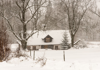 winter scenery with isolated house, trees and snow during heavy snowfall
