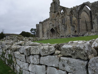 Fototapeta na wymiar Bolton abbey view